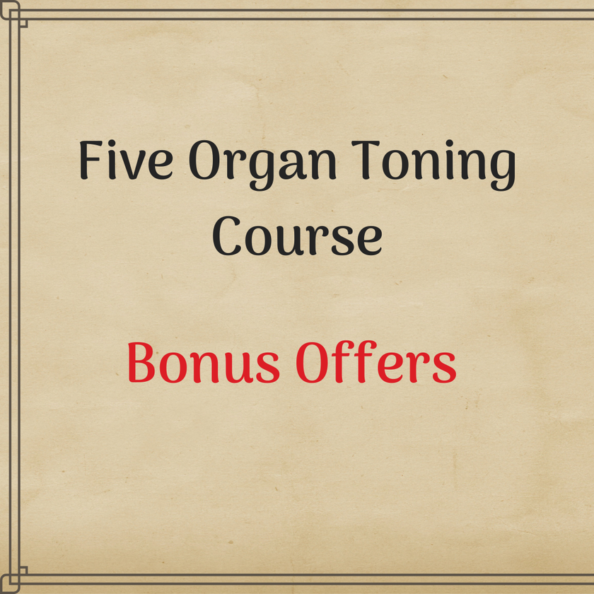 Five Organ Toning Course – Bonus Offers
